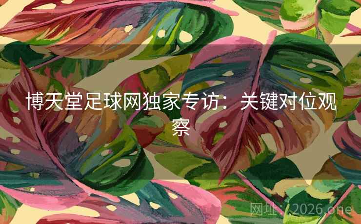 博天堂足球网独家专访：关键对位观察