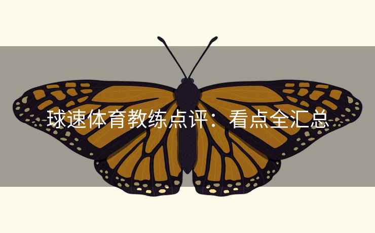 球速体育教练点评：看点全汇总